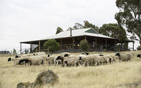 Gilgraves Vineyard Farmstay